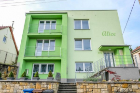 Vila Alice, Luhacovice